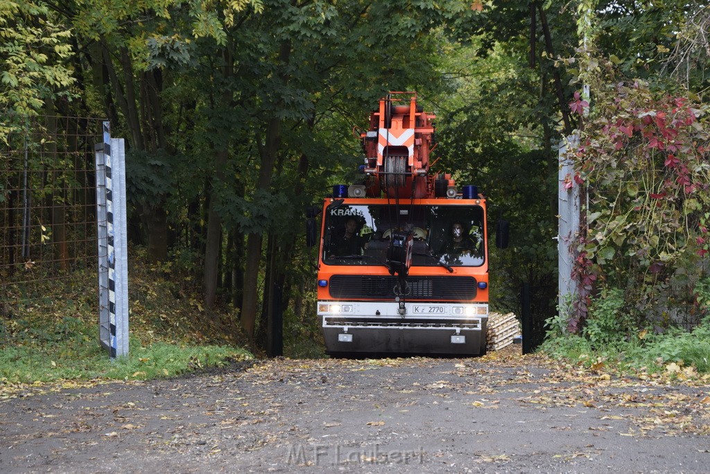 Einsatz BF Koeln PKW im See Koeln Esch P239.JPG - Miklos Laubert